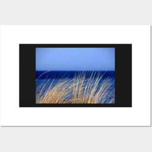 SEAGRASS ON THE SEA SHORE DESIGN Posters and Art